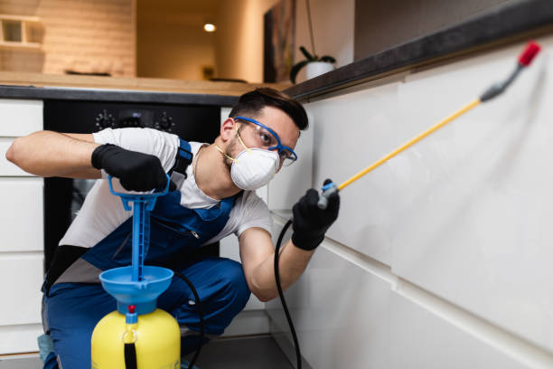 Best Termite Control Services  in Springfield, NE