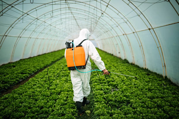 Reliable Springfield, NE Pest Control Solutions