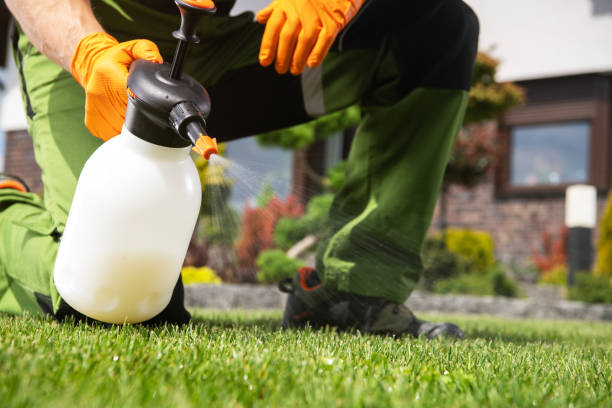 Best Emergency Pest Control  in Springfield, NE