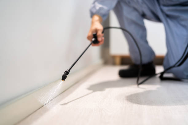 Pest Prevention Services in Springfield, NE