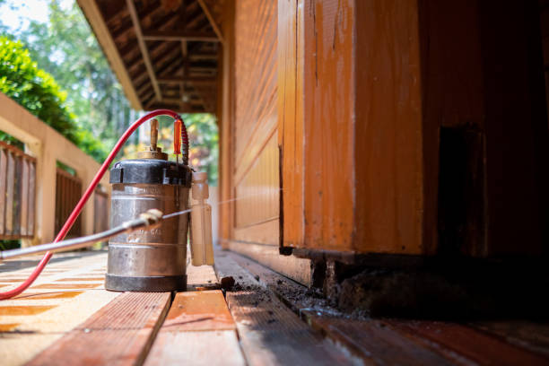 Best Exterminator Services  in Springfield, NE