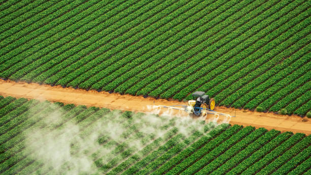 Best Pest Control Treatment  in Springfield, NE