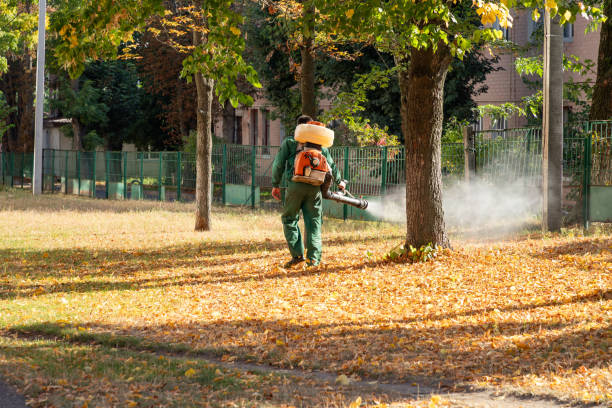 Best Wildlife Control Services  in Springfield, NE