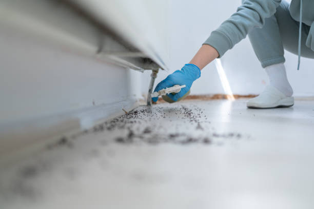 Best Best Pest Control Companies  in Springfield, NE
